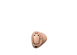 Owl Image