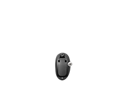 Owl Image
