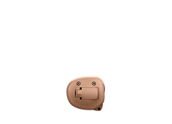 Owl Image