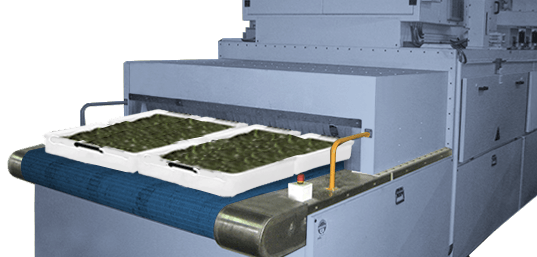 Cannabis Pasteurization/Sterilization using RF